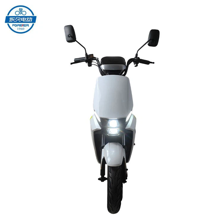 Electric Adult Motorcycle