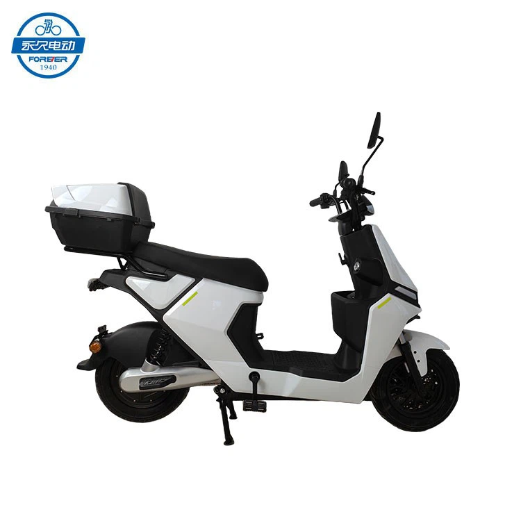 Electric Adult Motorcycle