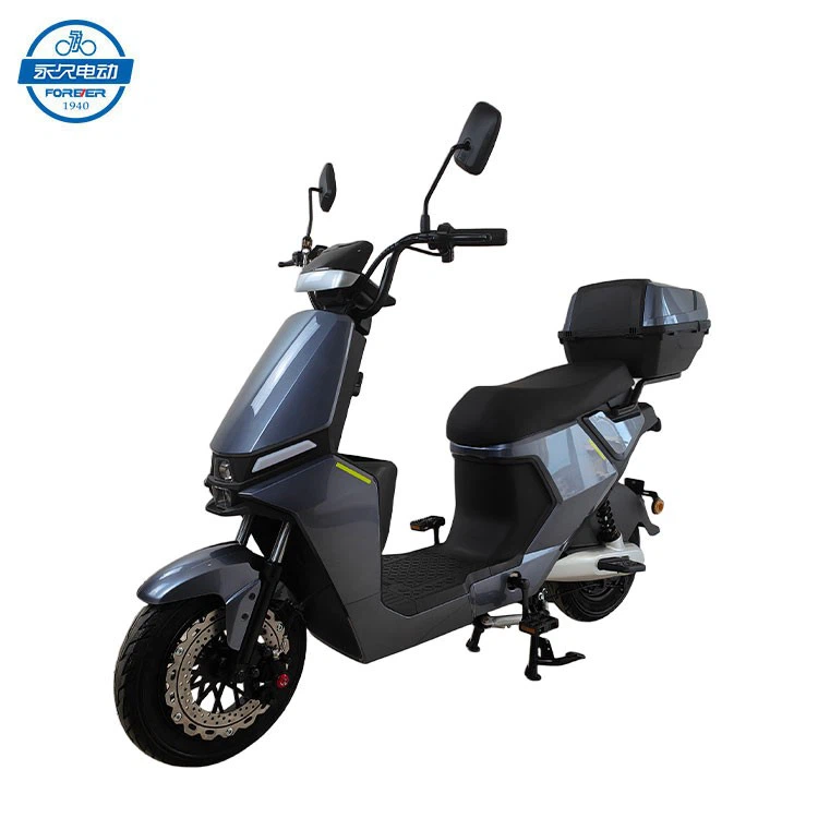 Electric Adult Motorcycle